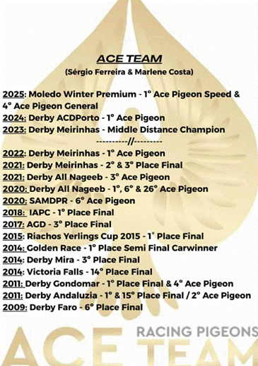 Ace team (portugal)2