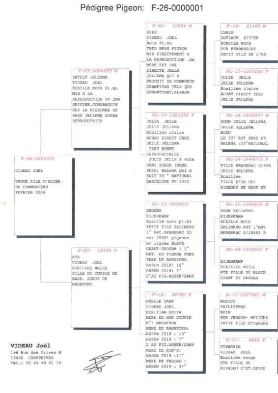 Acfrogbzztu7ziquozwckzja omffq7lvzuulsi... wiggw w5vcmc0kvqgvvlrq4oojqgb j9wxq==