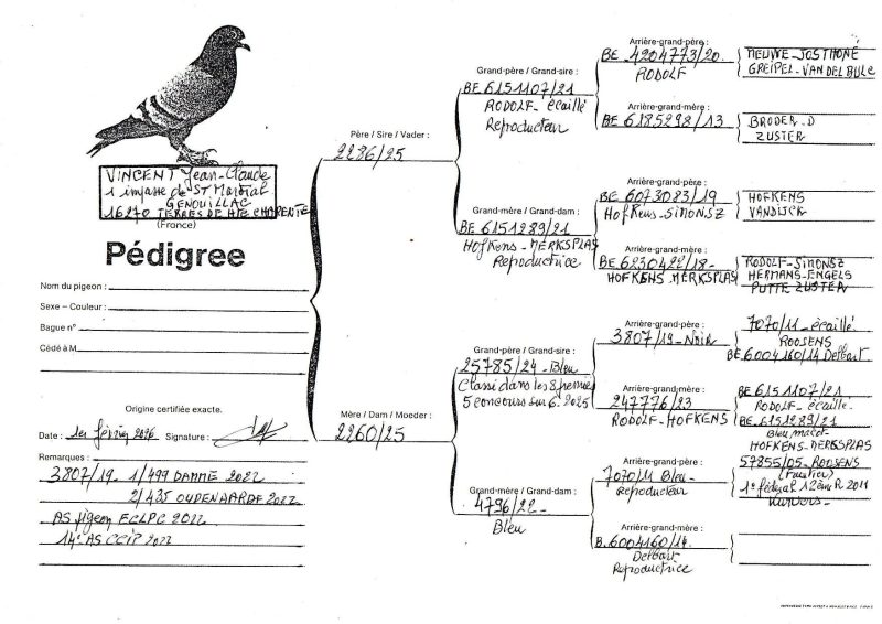 Acfrogdphzl6ajye4qszzctqub4ux ihzvbozma...ovpspolo6ls6anqs2d890ukseigs8mgrbhlw==