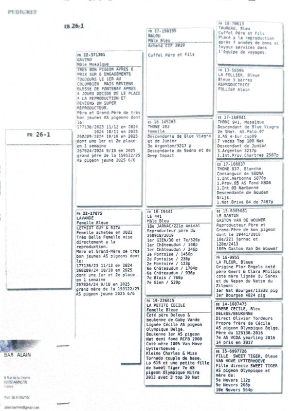 Bar alain roquetoire