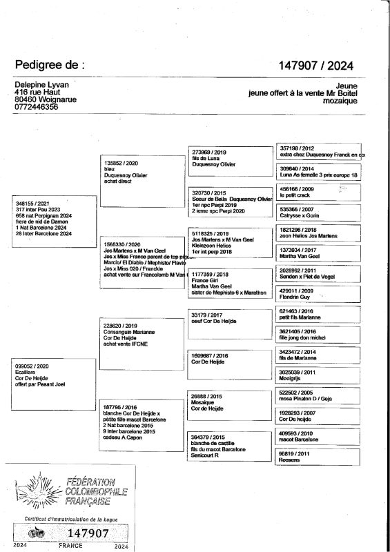 Boitel pédigrée pere page 0001