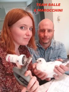 N° 04 : Jérémy & Lucie BALLE – MAROCCHINI de LALLAING (59)
