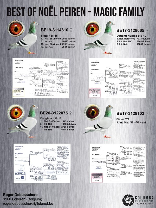 Best of peiren (duivinnen)