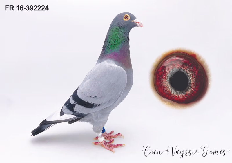 Capture d’écran 2026 02 03 à 11.13.58