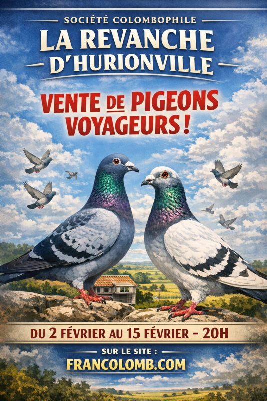 Vente de Bons : La Revanche Hurionville