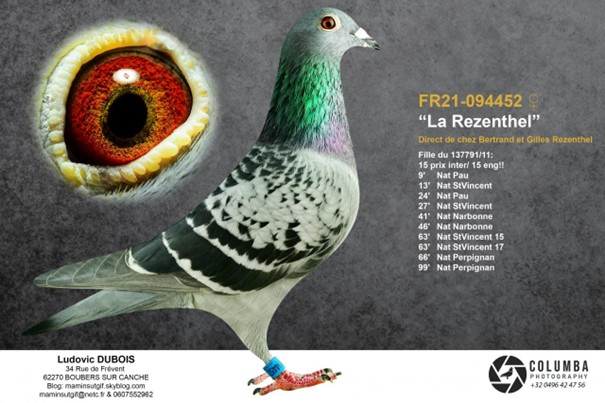 Dubois ludovic la rézenthel