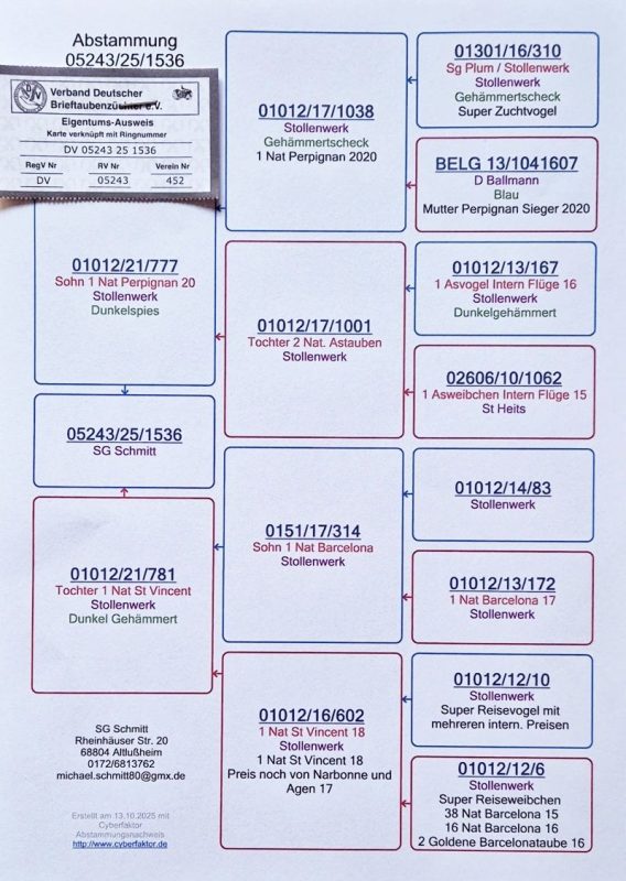 Creator: gd jpeg v1.0 (using ijg jpeg v80), quality = 100?