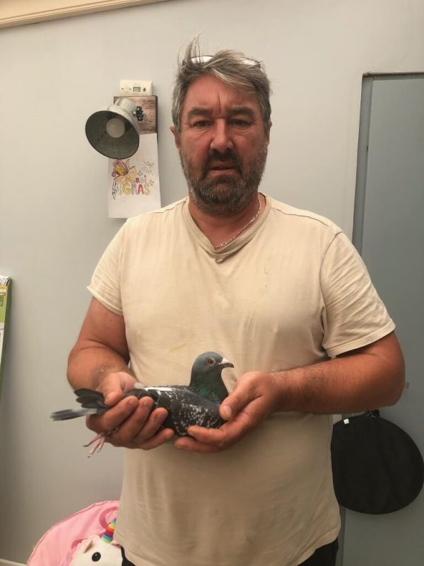 N° 18 : DECLERCK OLIVIER DE SPYCKER(59)