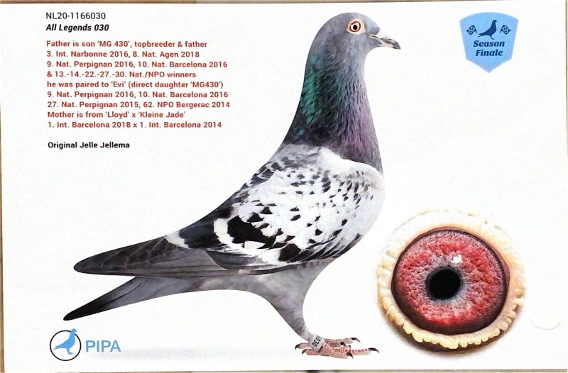 Garcia 13 photo son mg430 x evi pere du jeune