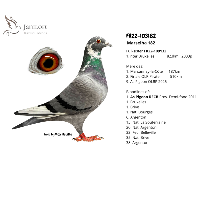 Grand mère du jeune