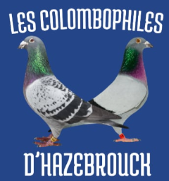 Pré-Vente : UNION de HAZEBROUCK