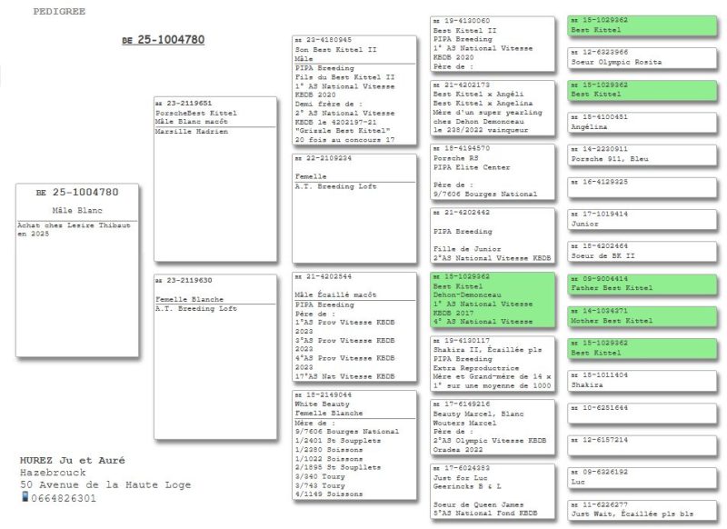 Hurez julien et aurélie père jeune