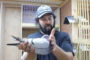 N° 11 : Louay ElMalki ( omnipigeon )