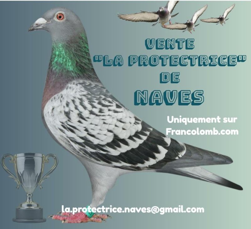 Vente de Bons : La Protectrice de NAVES