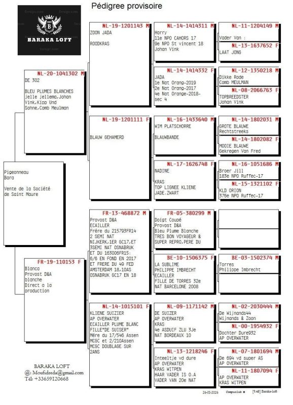 Pédigres moufid redha
