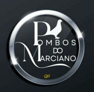 N° 18 : Pombos do Marciano (Portugal)