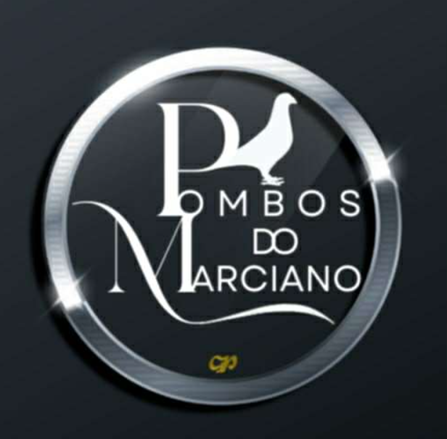 N° 18 : Pombos do Marciano (Portugal)