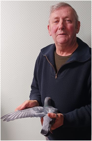 N° 41 : Solaux Gérard de Saint Amant les Eaux