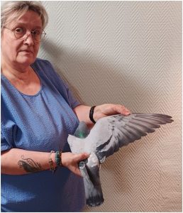 N° 49 : Solaux Patricia de Saint Amand les Eaux