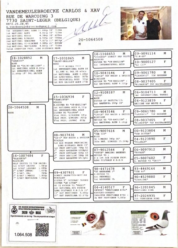 Vandemeulebroecke carlos & page 0001[1]