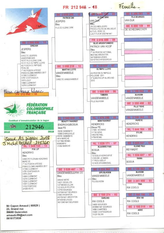 Vandoblin pedigre 138 2