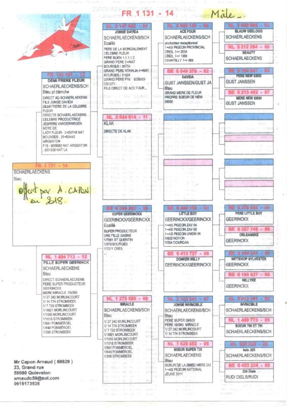 Vandoblin pedigre 138