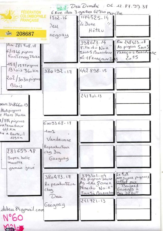 Vandoblin pedigre deu 2