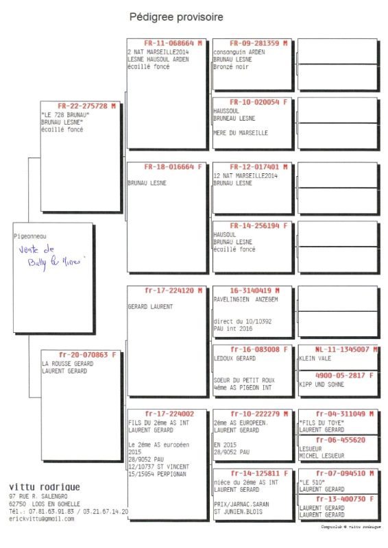 Vittu erick pedigree