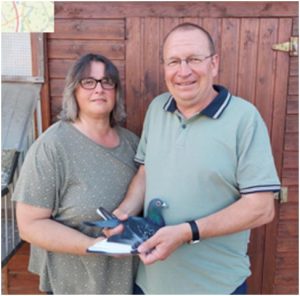 N° 37 : Willemant Patrick de Marquette