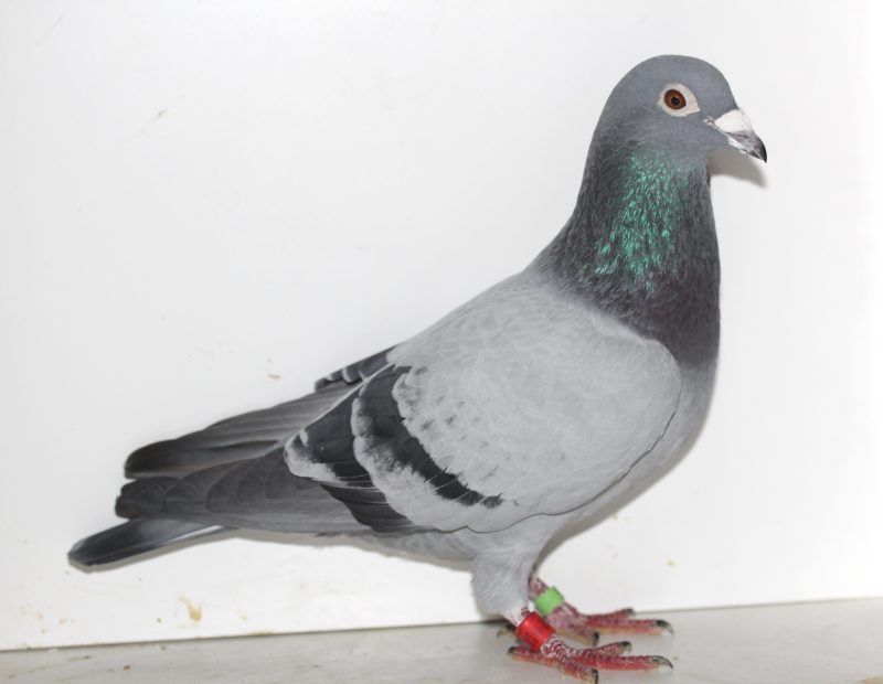 Bon 32 père 1075652