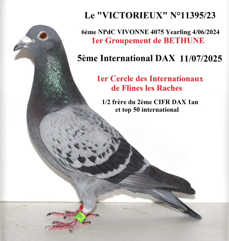 Bon n°2 1er cifr dax