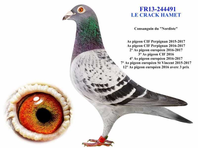 Bon n°2 crack hamet