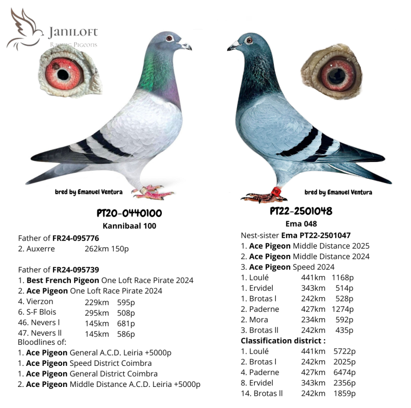 Grands parents du jeune