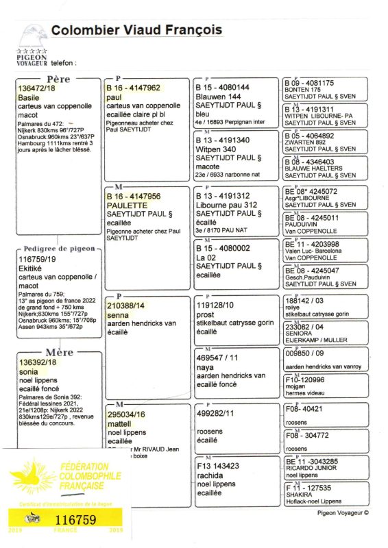 Img20251217 22260996 page 0001