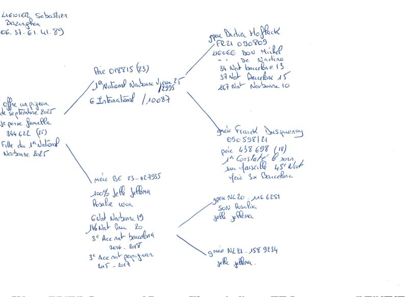 Pedigree sébastien lignier page 0001