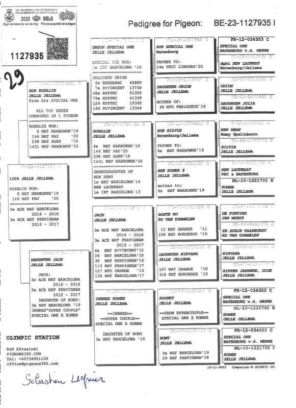 Pedigree sébastien lignier page 0002