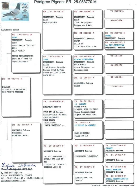 Pedigree sébastien lignier page 0003