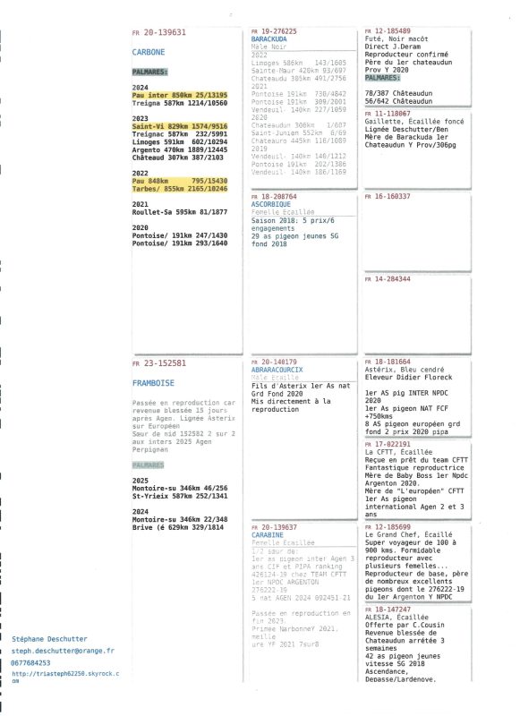Pedigree stéphane deschutter page 0001