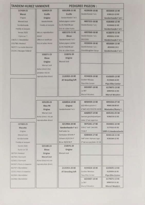 Pedigrée team hurez vanhove