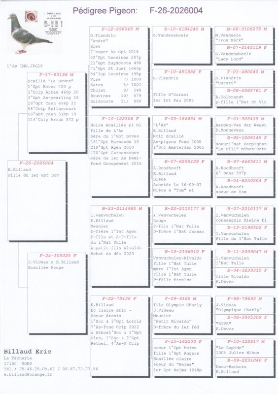 Pedigree vente champniers 2026