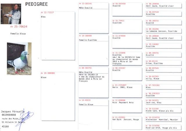 Pedigres jacques ferouelle