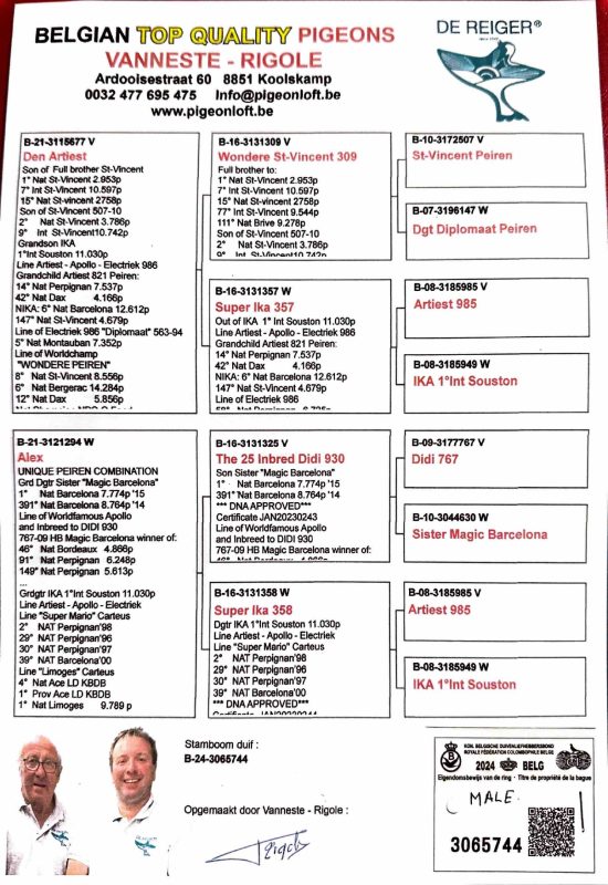 Pédigres parent rahal page 0001