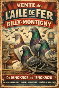 Vente de Bons : Les Ailes de Fer de BILLY-MONTIGNY