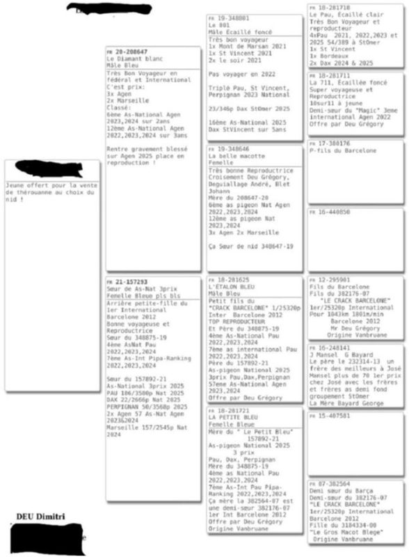 Vente therouanne deudimitri