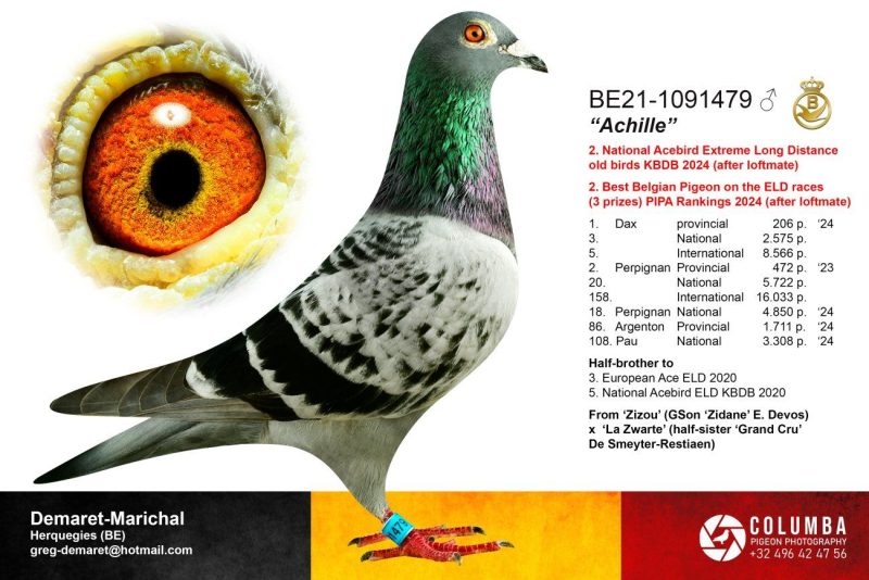 2ème as DEMARET BE 21 1091479 Achille