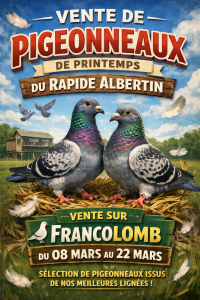 Vente de Bons : Le Rapide Albertin de ALBERT – 80
