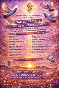 Groupement Colombophile de la Somme : BEAUQUESNE