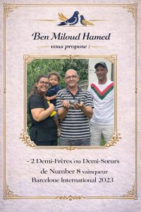 N° 5 : BEN MILOUD HAMED