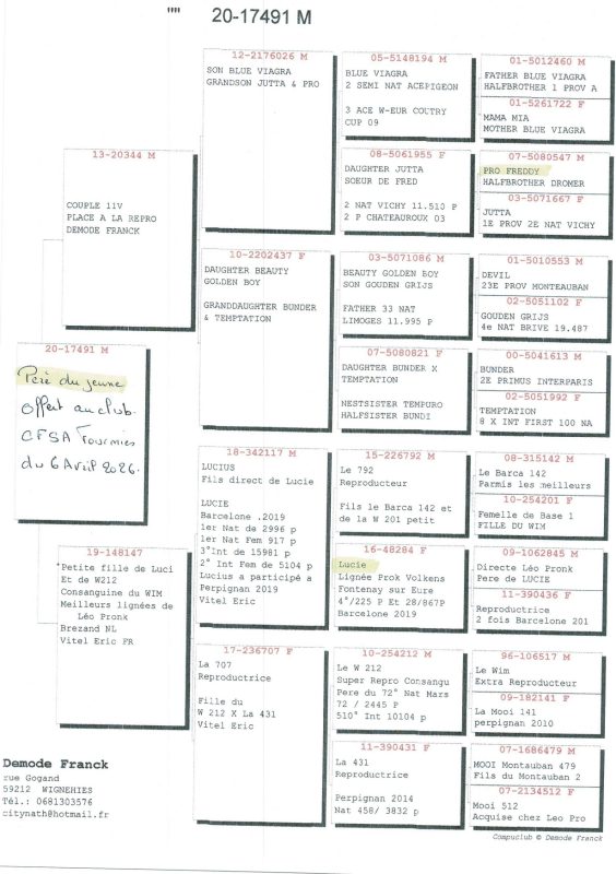 DEMODE Franck pédigrées