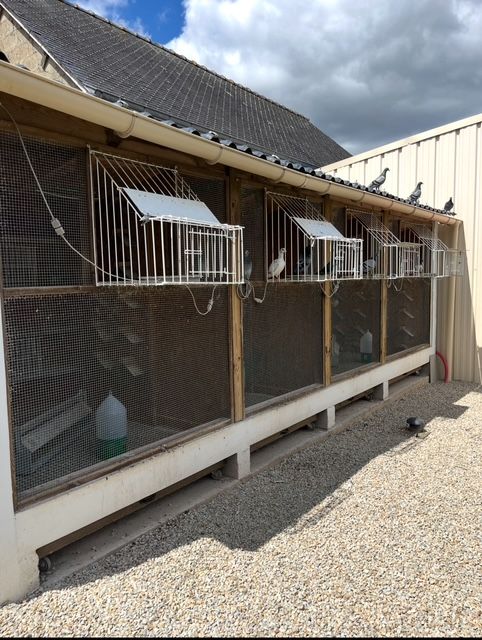 N° 1 : GUEZEL	Jean-Claude	10e	Pluvigner